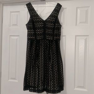 Loft Geometric Black Lace Overlay Dress